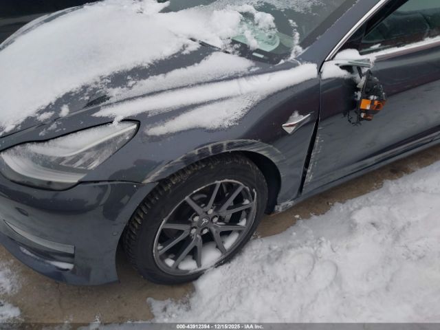 Tesla Model 3 Image 17