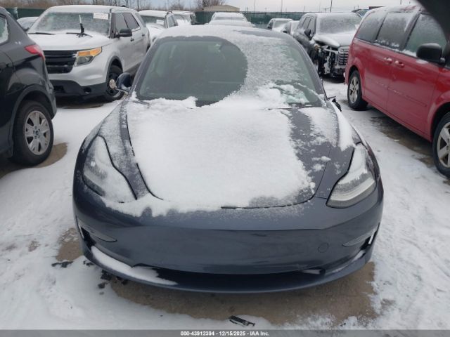 Tesla Model 3 Image 12