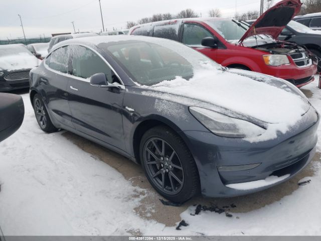 Tesla Model 3 Image 7