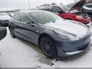 Tesla Model 3 Image 7