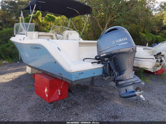 Cobia Other Image 15