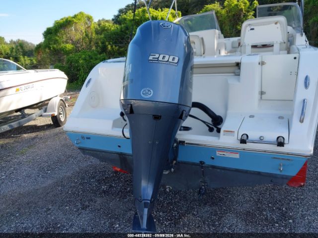 Cobia Other Image 16