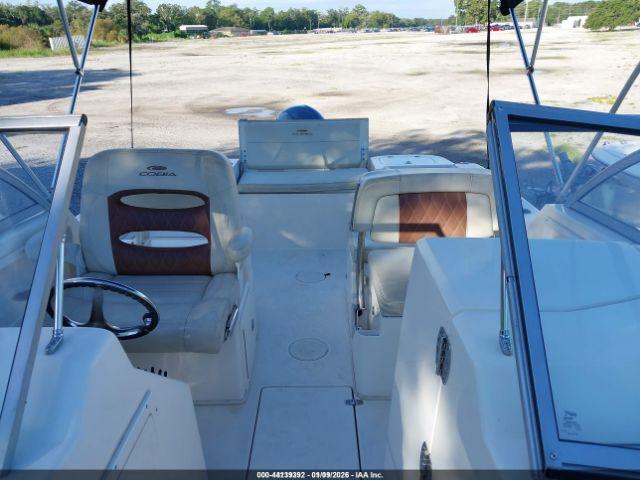 Cobia Other Image 10