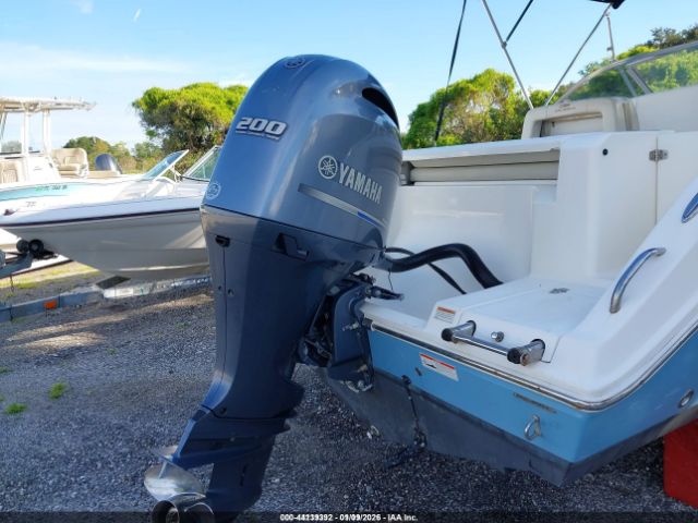 Cobia Other Image 14